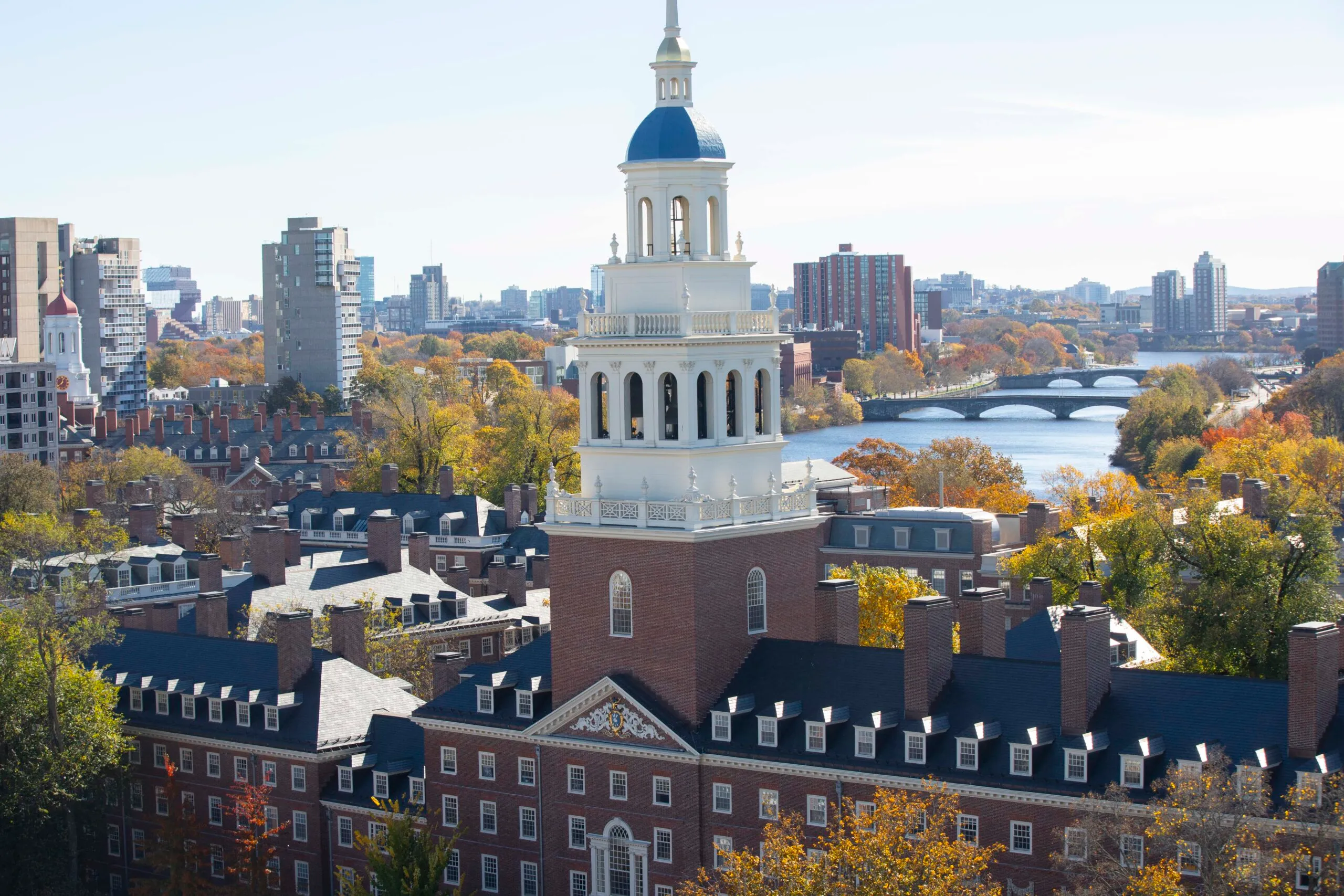 Image from https://www.harvard.edu/